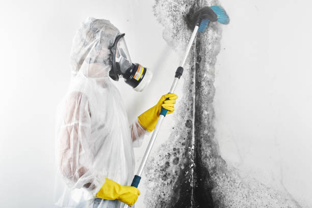 Best Asbestos and Lead Testing During Mold Inspection  in Gloversville, NY